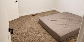 Kevin's room