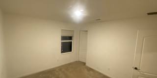 Shane's room