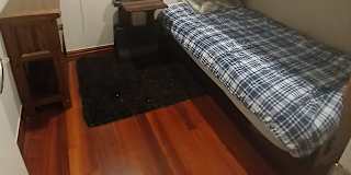 Murray Peter Muzz's room