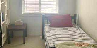 Lily's room