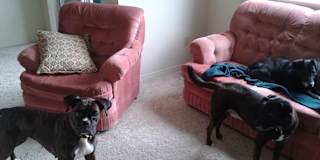 Paula's room