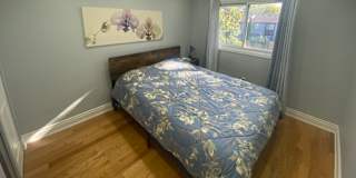 Naila's room