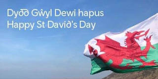 Jane Ann Summers's room