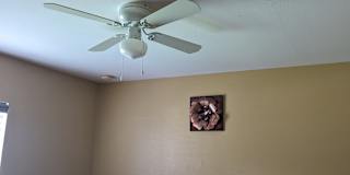 Steeve's room