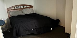 Darlene's room