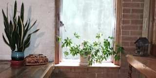 Sally's room