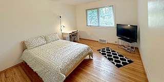 Shahram's room