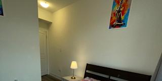 Meisam Rostaminia's room