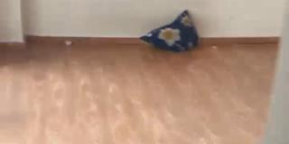 Souvik Roy's room