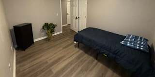 Lioness's room