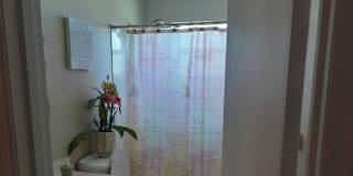 Bob's room