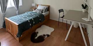 Lalaine's room