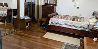 Lily's room