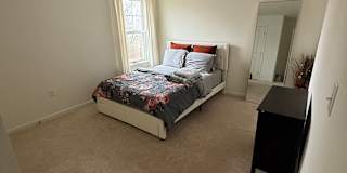 Bicky's room