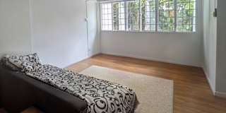 Zinnh's room