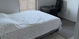 Satyasree Vegunta's room