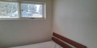 Dave's room