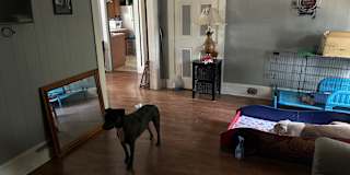 Ismael Vazquez's room
