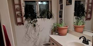 Rachel's room