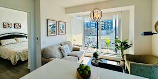 Niloofar's room