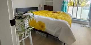 Carol's room