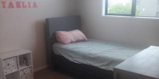 Shaan Hauraro's room