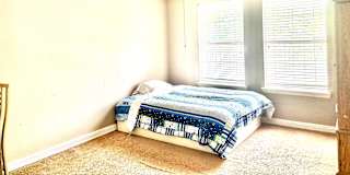 Zuri's room