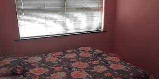 Craig's room