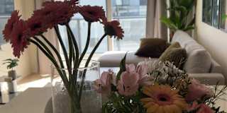 Natasha's room