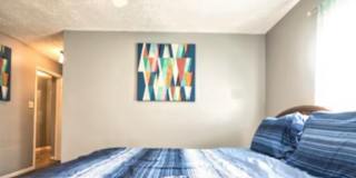 Stasha's room