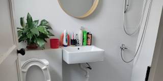 anthea's room