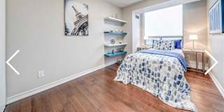 Shiggs's room