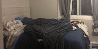 Jorja's room
