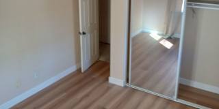 MY's room
