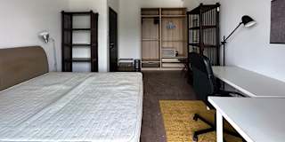 Fe's room