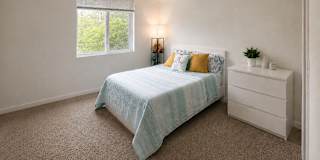 Farzad's room