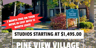 Pine View Village's room