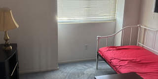 Lee's room