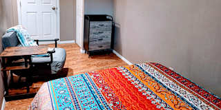 Kamy Optim's room