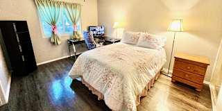 Mary's room