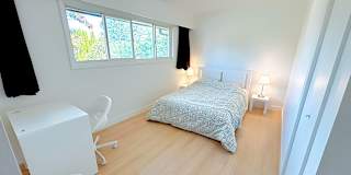 Shahram's room