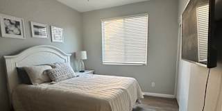 Camelia's room