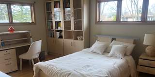 Cat's room