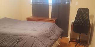 Gizzmo's room