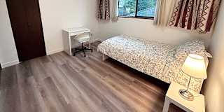Shirin's room
