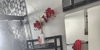 Tavie's room
