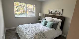 Ayla's room