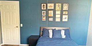 Daniel's room