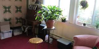 Martin's room