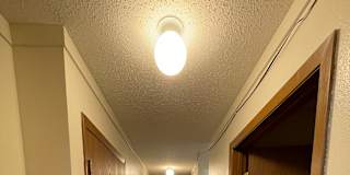 Tim C's room
